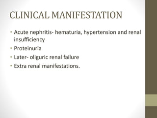 CLINICAL MANIFESTATION
• Acute nephritis- hematuria, hypertension and renal
insufficiency
• Proteinuria
• Later- oliguric renal failure
• Extra renal manifestations.
 