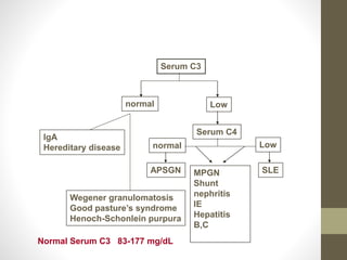 Serum C3
normal
Low
IgA
Hereditary disease
Wegener granulomatosis
Good pasture’s syndrome
Henoch-Schonlein purpura
MPGN
Shunt
nephritis
IE
Hepatitis
B,C
Low
normal
Serum C4
SLEAPSGN
Normal Serum C3 83-177 mg/dL
 
