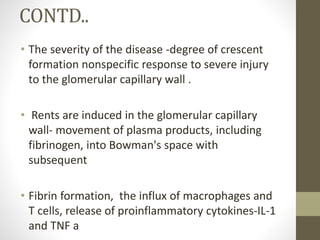 CONTD..
• The severity of the disease -degree of crescent
formation nonspecific response to severe injury
to the glomerular capillary wall .
• Rents are induced in the glomerular capillary
wall- movement of plasma products, including
fibrinogen, into Bowman's space with
subsequent
• Fibrin formation, the influx of macrophages and
T cells, release of proinflammatory cytokines-IL-1
and TNF a
 