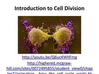 Introduction to Cell Division
http://youtu.be/Q6ucKWIIFmg
http://highered.mcgraw-
hill.com/sites/0072495855/student_view0/chap
 