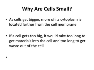 Why Are Cells Small?
• As cells get bigger, more of its cytoplasm is
located farther from the cell membrane.
• If a cell gets too big, it would take too long to
get materials into the cell and too long to get
waste out of the cell.
•
 