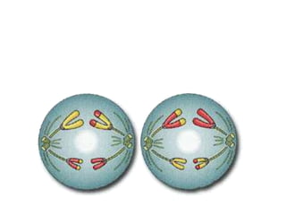 Anaphase II
• The spindle fibers shorten and the sister
chromatids move to opposite poles.
 