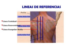 canal-posicion-anatomica-movimientos-corporales | PDF