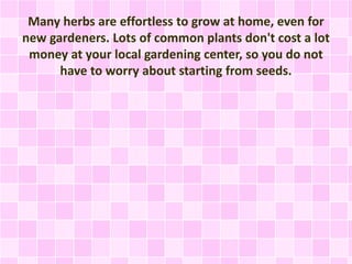 Many herbs are effortless to grow at home, even for
new gardeners. Lots of common plants don't cost a lot
money at your local gardening center, so you do not
have to worry about starting from seeds.
 