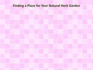 Finding a Place for Your Natural Herb Garden
 