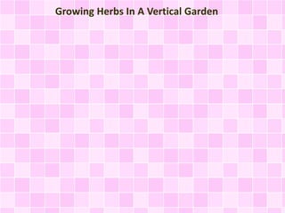 Growing Herbs In A Vertical Garden
 