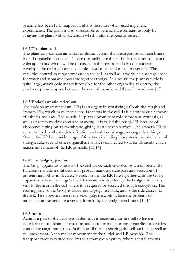 Sam start file image