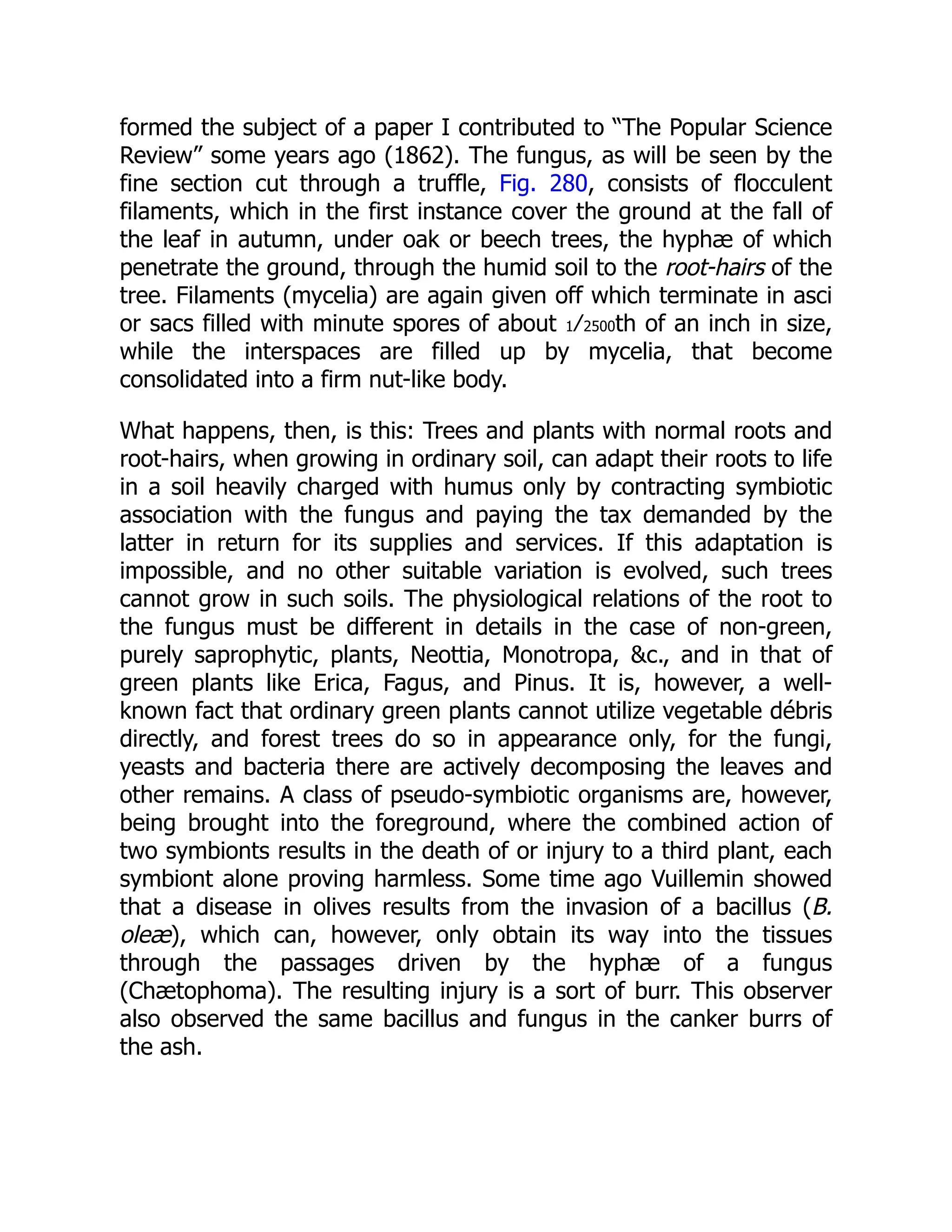 formed the subject of a paper I contributed to “The Popular Science Review” some years ago (1862). The fungus, as will be seen by the fine section cut through a truffle, Fig. 280, consists of flocculent filaments, which in the first instance cover the ground at the fall of the leaf in autumn, under oak or beech trees, the hyphæ of which penetrate the ground, through the humid soil to the root-hairs of the tree. Filaments (mycelia) are again given off which terminate in asci or sacs filled with minute spores of about 1⁄2500th of an inch in size, while the interspaces are filled up by mycelia, that become consolidated into a firm nut-like body. What happens, then, is this: Trees and plants with normal roots and root-hairs, when growing in ordinary soil, can adapt their roots to life in a soil heavily charged with humus only by contracting symbiotic association with the fungus and paying the tax demanded by the latter in return for its supplies and services. If this adaptation is impossible, and no other suitable variation is evolved, such trees cannot grow in such soils. The physiological relations of the root to the fungus must be different in details in the case of non-green, purely saprophytic, plants, Neottia, Monotropa, &c., and in that of green plants like Erica, Fagus, and Pinus. It is, however, a well- known fact that ordinary green plants cannot utilize vegetable débris directly, and forest trees do so in appearance only, for the fungi, yeasts and bacteria there are actively decomposing the leaves and other remains. A class of pseudo-symbiotic organisms are, however, being brought into the foreground, where the combined action of two symbionts results in the death of or injury to a third plant, each symbiont alone proving harmless. Some time ago Vuillemin showed that a disease in olives results from the invasion of a bacillus (B. oleæ), which can, however, only obtain its way into the tissues through the passages driven by the hyphæ of a fungus (Chætophoma). The resulting injury is a sort of burr. This observer also observed the same bacillus and fungus in the canker burrs of the ash. 