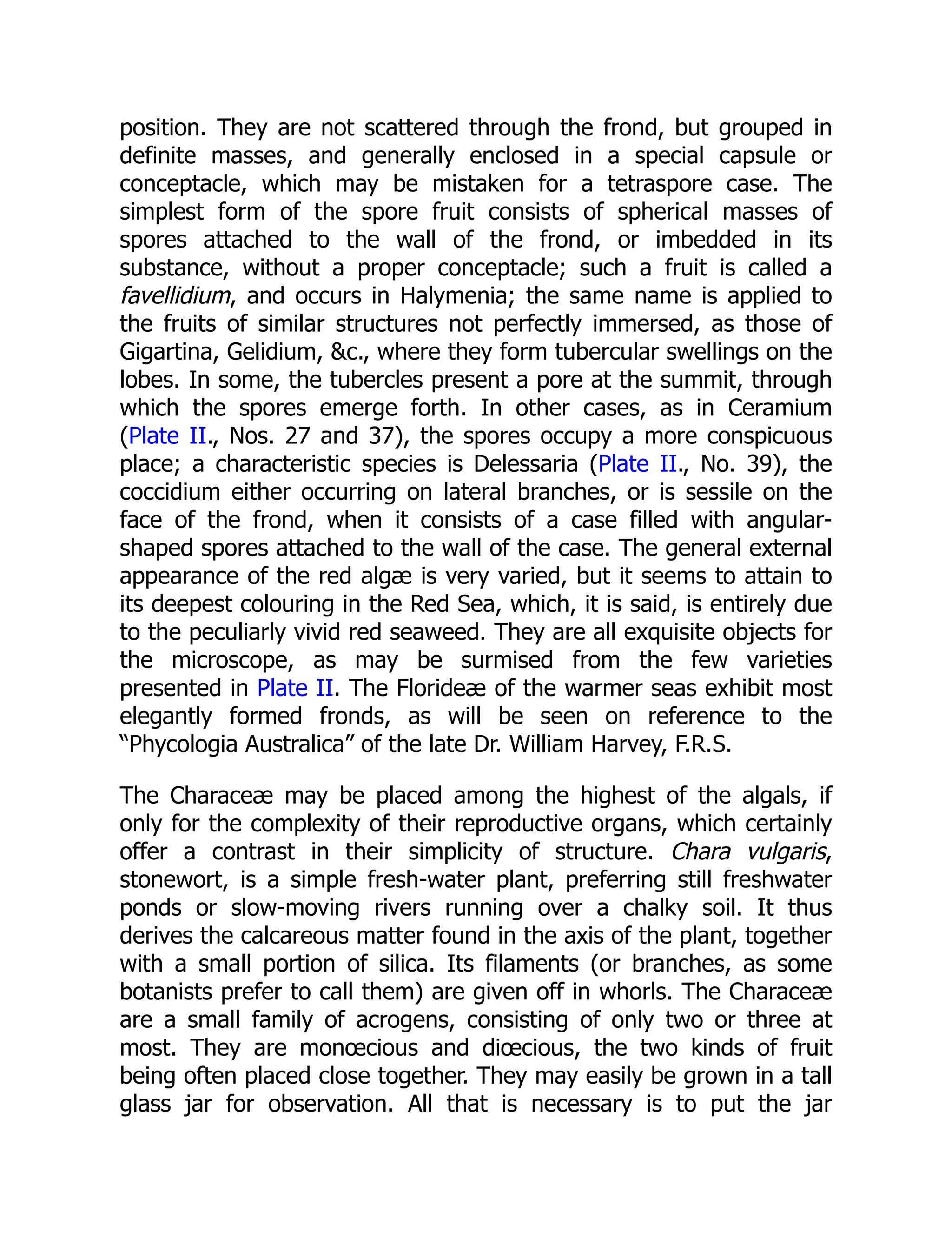 position. They are not scattered through the frond, but grouped in definite masses, and generally enclosed in a special capsule or conceptacle, which may be mistaken for a tetraspore case. The simplest form of the spore fruit consists of spherical masses of spores attached to the wall of the frond, or imbedded in its substance, without a proper conceptacle; such a fruit is called a favellidium, and occurs in Halymenia; the same name is applied to the fruits of similar structures not perfectly immersed, as those of Gigartina, Gelidium, &c., where they form tubercular swellings on the lobes. In some, the tubercles present a pore at the summit, through which the spores emerge forth. In other cases, as in Ceramium (Plate II., Nos. 27 and 37), the spores occupy a more conspicuous place; a characteristic species is Delessaria (Plate II., No. 39), the coccidium either occurring on lateral branches, or is sessile on the face of the frond, when it consists of a case filled with angular- shaped spores attached to the wall of the case. The general external appearance of the red algæ is very varied, but it seems to attain to its deepest colouring in the Red Sea, which, it is said, is entirely due to the peculiarly vivid red seaweed. They are all exquisite objects for the microscope, as may be surmised from the few varieties presented in Plate II. The Florideæ of the warmer seas exhibit most elegantly formed fronds, as will be seen on reference to the “Phycologia Australica” of the late Dr. William Harvey, F.R.S. The Characeæ may be placed among the highest of the algals, if only for the complexity of their reproductive organs, which certainly offer a contrast in their simplicity of structure. Chara vulgaris, stonewort, is a simple fresh-water plant, preferring still freshwater ponds or slow-moving rivers running over a chalky soil. It thus derives the calcareous matter found in the axis of the plant, together with a small portion of silica. Its filaments (or branches, as some botanists prefer to call them) are given off in whorls. The Characeæ are a small family of acrogens, consisting of only two or three at most. They are monœcious and diœcious, the two kinds of fruit being often placed close together. They may easily be grown in a tall glass jar for observation. All that is necessary is to put the jar 