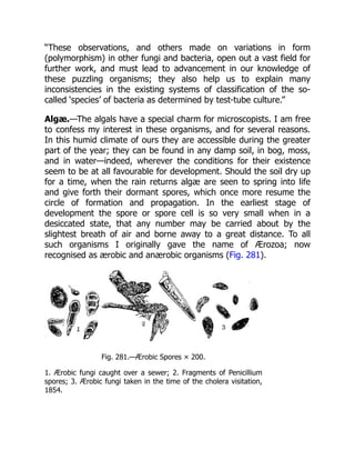 “These observations, and others made on variations in form
(polymorphism) in other fungi and bacteria, open out a vast field for
further work, and must lead to advancement in our knowledge of
these puzzling organisms; they also help us to explain many
inconsistencies in the existing systems of classification of the so-
called ‘species’ of bacteria as determined by test-tube culture.”
Algæ.—The algals have a special charm for microscopists. I am free
to confess my interest in these organisms, and for several reasons.
In this humid climate of ours they are accessible during the greater
part of the year; they can be found in any damp soil, in bog, moss,
and in water—indeed, wherever the conditions for their existence
seem to be at all favourable for development. Should the soil dry up
for a time, when the rain returns algæ are seen to spring into life
and give forth their dormant spores, which once more resume the
circle of formation and propagation. In the earliest stage of
development the spore or spore cell is so very small when in a
desiccated state, that any number may be carried about by the
slightest breath of air and borne away to a great distance. To all
such organisms I originally gave the name of Ærozoa; now
recognised as ærobic and anærobic organisms (Fig. 281).
Fig. 281.—Ærobic Spores × 200.
1. Ærobic fungi caught over a sewer; 2. Fragments of Penicillium
spores; 3. Ærobic fungi taken in the time of the cholera visitation,
1854.
 