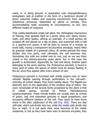 water, or in damp ground, in association with chlorophyllaceous
protoplasm, and at another in the form of a bacterium devoid of
green colouring matter, and receiving nourishment from organic
substances previously elaborated by plants or animals, thus
accommodating itself, according to circumstances, to two very
different modes of existence.
That widely-distributed single-cell plant, the Palmoglœa macrococca
of Kützing, that spreads itself as a green slime over damp stones,
walls, and other bodies, affords an example. If a small portion be
scraped off and placed on a slip of glass, and examined with a half
or a quarter-inch power, it will be seen to consist of a number of
ovoid cells, having a transparent structureless envelope, nearly filled
by granular matter of a greenish colour. At certain periods this mass
divides into two parts, and ultimately the cell becomes two.
Sometimes the cells are united end to end, just as we see them
united in the actively-growing yeast plant; but in this case the
growth is accelerated, apparently, by cold and damp. Another plant
belonging to the same species, the Protococcus pluvialis, is found in
every pool of water, the spores of which must be always floating in
the air, since they appear after every shower of rain.
Protococcus pluvialis is furnished with motile organs—two or more
vibratile flagella passing through perforations in the cell-wall—
whereby, at certain stages, they move rapidly about. The flagella are
distinctly seen on the application of the smallest drop of iodine. The
more remarkable of the several forms presented by the plant is that
of naked spores, termed by Flotow Hæmatococcus
porphyrocephalus. These minute bodies are usually seen to consist
of green, red, and colourless granules in equal proportions, and
occupying different portions of the cell. They seem to have some
share in the after subdivision of the cell (Fig. 283). There are also
still-cells, which sub-divide into two, while the motile cells divide into
four or eight. It is not quite clear what becomes of the motile
zoospores, B, but as they have been seen to become encysted, they
 