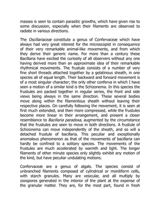 masses is seen to contain parasitic growths, which have given rise to
some discussion, especially when their filaments are observed to
radiate in various directions.
The Oscillariaceæ constitute a genus of Confervaceæ which have
always had very great interest for the microscopist in consequence
of their very remarkable animal-like movements, and from which
they derive their generic name. For more than a century these
Bacillaria have excited the curiosity of all observers without any one
having derived more than an approximate idea of their remarkable
rhythmical movements. The frustule consists of a number of very
fine short threads attached together by a gelatinous sheath, in one
species all of equal length. Their backward and forward movement is
of a most singular character; the only other conferva in which I have
seen a motion of a similar kind is the Schizonema. In this species the
frustules are packed together in regular series, the front and side
views being always in the same direction. These several bodies
move along within the filamentous sheath without leaving their
respective places. On carefully following the movement, it is seen at
first much extended, and then more compressed, while the frustules
become more linear in their arrangement, and present a closer
resemblance to Bacillaria paradoxa, augmented by the circumstance
that the frustules are seen to move in both directions. A frustule of
Schizonema can move independently of the sheath, and so will a
detached frustule of bacillaria. This peculiar and exceptionally
anomalous phenomenon as that of the movements of bacillaria can
hardly be confined to a solitary species. The movements of the
frustules are much accelerated by warmth and light. The longer
filaments of other minute species only slightly exhibit any motion of
the kind, but have peculiar undulating motions.
Confervaceæ are a genus of algals. The species consist of
unbranched filaments composed of cylindrical or moniliform cells,
with starch granules. Many are vesicular, and all multiply by
zoospores generated in the interior of the plant at the expense of
the granular matter. They are, for the most part, found in fresh
 