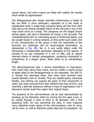 sexual nature, and when mature are filled with reddish fat vesicles
which divide by segmentation.
The Ædogoniaceæ also closely resemble Confervaceæ in habits of
life, but differ in some particulars, especially so in the mode of
reproduction (only a single large zoospore being set free from each
cell) and by the almost complete fission of the cell-wall or one of the
rings which serve as a hinge. The zoospores are the largest known
among algals, and each is described as having a red eye-spot. The
Chætophoraceæ form an interesting group of confervoid plants, and
are usually found in running streams, as they prefer pure water. One
of the characteristics of the group is that the extremities of the
branches are prolonged into an acute-shaped termination, as
represented in Fig. 284, No. 6. A very pretty object under the
microscope is Draparnaldia glomerata, belonging to this species. It
consists of an axis composed of a row of cells, and at regular
intervals whorls of slender prolongations, containing chlorophyll or
endochrome of a deeper green; these attain to an extraordinary
length.
The Batrachospermæ bear a strong resemblance to frog-spawn,
from which they derive their name, and are chiefly a marine group
of algals allied to the Rhodespermeæ or red seaweeds. The late Dr.
A. Hassall first described them; they have since received more
careful attention from M. Sirodot. They are reddish-green, extremely
flexible, and nothing can surpass the grace of their movements in
water; but when removed from their element they lose all form, and
resemble a jelly-like substance without a trace of organisation; but if
allowed to remain quiet they regain their original shape.
The presence of the cell-membrane will be best demonstrated by
breaking up the filaments, either by moving the thin glass cover, or
by cutting through a mass of them in all directions with a fine
dissecting knife. On now examining the slide, in most instances
many detached empty pieces of the cell-membrane, with its striæ,
will be seen, as well as filaments partly deprived of protoplasm. On
 