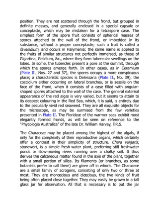 position. They are not scattered through the frond, but grouped in
definite masses, and generally enclosed in a special capsule or
conceptacle, which may be mistaken for a tetraspore case. The
simplest form of the spore fruit consists of spherical masses of
spores attached to the wall of the frond, or imbedded in its
substance, without a proper conceptacle; such a fruit is called a
favellidium, and occurs in Halymenia; the same name is applied to
the fruits of similar structures not perfectly immersed, as those of
Gigartina, Gelidium, &c., where they form tubercular swellings on the
lobes. In some, the tubercles present a pore at the summit, through
which the spores emerge forth. In other cases, as in Ceramium
(Plate II., Nos. 27 and 37), the spores occupy a more conspicuous
place; a characteristic species is Delessaria (Plate II., No. 39), the
coccidium either occurring on lateral branches, or is sessile on the
face of the frond, when it consists of a case filled with angular-
shaped spores attached to the wall of the case. The general external
appearance of the red algæ is very varied, but it seems to attain to
its deepest colouring in the Red Sea, which, it is said, is entirely due
to the peculiarly vivid red seaweed. They are all exquisite objects for
the microscope, as may be surmised from the few varieties
presented in Plate II. The Florideæ of the warmer seas exhibit most
elegantly formed fronds, as will be seen on reference to the
“Phycologia Australica” of the late Dr. William Harvey, F.R.S.
The Characeæ may be placed among the highest of the algals, if
only for the complexity of their reproductive organs, which certainly
offer a contrast in their simplicity of structure. Chara vulgaris,
stonewort, is a simple fresh-water plant, preferring still freshwater
ponds or slow-moving rivers running over a chalky soil. It thus
derives the calcareous matter found in the axis of the plant, together
with a small portion of silica. Its filaments (or branches, as some
botanists prefer to call them) are given off in whorls. The Characeæ
are a small family of acrogens, consisting of only two or three at
most. They are monœcious and diœcious, the two kinds of fruit
being often placed close together. They may easily be grown in a tall
glass jar for observation. All that is necessary is to put the jar
 