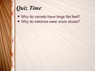 Quiz Time
   Why do camels have large flat feet?
   Why do eskimos wear snow shoes?
 