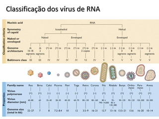 Classificação dos vírus de RNA
 