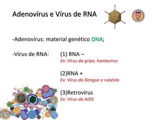 Adenovírus e Vírus de RNA


-Adenovírus: material genético DNA;

-Vírus de RNA:    (1) RNA –
                  Ex: Vírus da gripe, hantavírus

                  (2)RNA +
                  Ex: Vírus da Dengue e rubéola

                  (3)Retrovírus
                  Ex: Vírus da AIDS
 