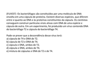 (FUVEST) Os bacteriófagos são constituídos por uma molécula de DNA
envolta em uma cápsula de proteína. Existem diversas espécies, que diferem
entre si quanto ao DNA e às proteínas constituintes da cápsula. Os cientistas
conseguem construir partículas virais ativas com DNA de uma espécie e
cápsula de outra. Em um experimento, foi produzido um vírus contendo DNA
do bacteriófago T2 e cápsula do bacteriófago T4.

Pode-se prever que a descendência desse vírus terá:
a) cápsula de T4 e DNA de T2.
b) cápsula de T2 e DNA de T4.
c) cápsula e DNA, ambos de T2.
d) cápsula e DNA, ambos de T4.
e) mistura de cápsulas e DNA de T2 e de T4.
 