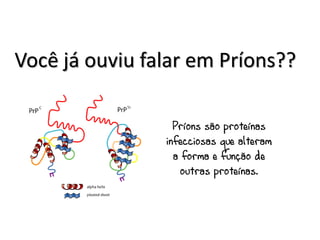 Você já ouviu falar em Príons??

                  Príons são proteínas
                infecciosas que alteram
                  a forma e função de
                    outras proteínas.
 