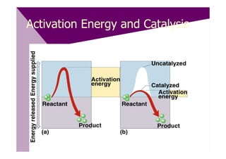Activation Energy and Catalysis
 