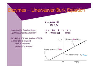 Enzymes – Lineweaver-Burk Equation

                                            V = Vmax [S]
                                                [S] + Km

 Inverting the Equation yields:             1 = Km 1       +    1 .
 (Lineweaver-Burke Equation)                V  Vmax [S]        Vmax

 By plotting 1/ V as a function of 1/[S],
 a linear plot is obtained:
    Slope = Km/Vmax
    y-intercept = 1/Vmax
 