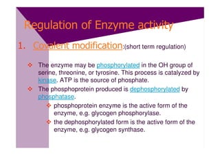 Regulation of Enzyme activity
1. Covalent modification:(short term regulation)
     The enzyme may be phosphorylated in the OH group of
     serine, threonine, or tyrosine. This process is catalyzed by
     kinase. ATP is the source of phosphate.
     The phosphoprotein produced is dephosphorylated by
     phosphatase.
           phosphoprotein enzyme is the active form of the
           enzyme, e.g. glycogen phosphorylase.
           the dephosphorylated form is the active form of the
           enzyme, e.g. glycogen synthase.
 