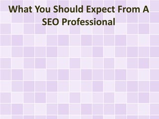 What You Should Expect From A
      SEO Professional
 