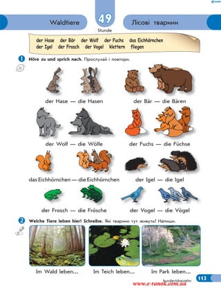 Stunde
113
Лісові твариниWaldtiere 49
hundertdreizehn
 Höre zu und sprich nach. Прослухай і повтори.
der Hase — die Hasen der Bär — die Bären
der Wolf — die Wölfe der Fuchs — die Füchse
das Eichhörnchen — die Eichhörnchen der Igel — die Igel
der Frosch — die Frösche der Vogel — die Vögel
Welche Tiere leben hier? Schreibe. Які тварини тут живуть? Напиши.
Im Wald leben... Im Teich leben... Im Park leben...
der Hase der Bär der Wolf der Fuchs das Eichhörnchen
der Igel der Frosch der Vogel klettern fliegen
www.e-ranok.com.ua
 