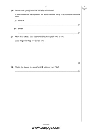 4
5125/04/O/N/03
(b) What are the genotypes of the following individuals?
In your answer use P to represent the dominant allele and p to represent the recessive
allele.
(i) father F
...............................................................................................................................[1]
(ii) child A
...............................................................................................................................[1]
(c) When child C has a son, his chance of suffering from PKU is 50%.
Use a diagram to help you explain why.
[3]
(d) What is the chance of a son of child B suffering from PKU?
......................................................................................................................................[1]
For
Examiner’s
Use
www.ourpgs.com
 
