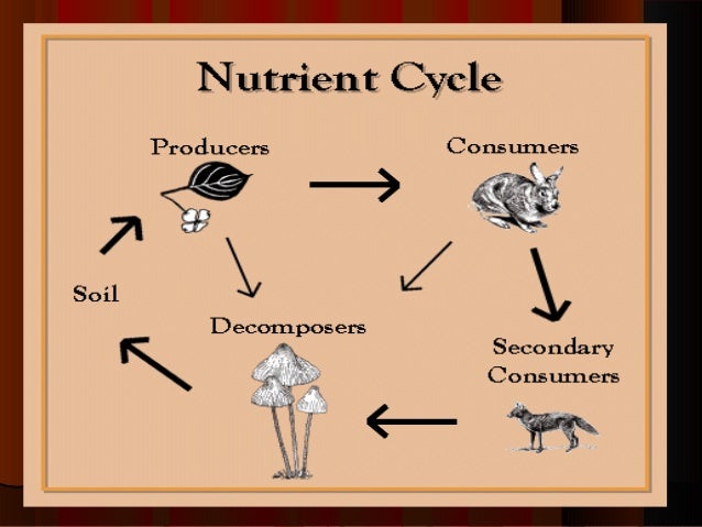 51292133 ppt-pendidikan-alam-sekitar