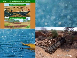 watershed development in india, | PPTX