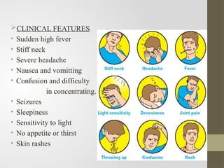 CLINICAL FEATURES
• Sudden high fever
• Stiff neck
• Severe headache
• Nausea and vomitting
• Confusion and difficulty
in concentrating.
• Seizures
• Sleepiness
• Sensitivity to light
• No appetite or thirst
• Skin rashes
 