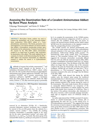 Assessing the Deamination Rate of a Covalent Aminomutase Adduct
by Burst Phase Analysis
Udayanga Wanninayake†
and Kevin D. Walker*,†,#
†
Department of Chemistry and #
Department of Biochemistry, Michigan State University, East Lansing, Michigan 48824, United
States
*S Supporting Information
ABSTRACT: Burst-phase kinetic analysis was used to
evaluate the deamination rate of the aminated−methyl-
idene imidazolone (NH2−MIO) adduct of a Taxus
phenylalanine aminomutase. The kinetic parameters were
interrogated by a non-natural substrate (S)-styryl-α-alanine
that yielded a chromophoric styrylacrylate product upon
deamination by the aminomutase. Transient inactivation of
the enzyme by the NH2−MIO adduct intermediate
resulted in an initial burst of product, with reactivation
by deamination of the adduct. This study validated the rate
constants of a kinetic model demonstrating that the NH2−
MIO adduct and cinnamate intermediate are suﬃciently
retained to catalyze the natural α- to β-phenylalanine
isomerization.
Asubfamily of enzymes that includes aminomutases1−3
and
ammonia lyases4
depends on the function of a 5-
methylidene-1H-imidazol-5(4H)-one (MIO) cofactor within
the active site. The recently solved structures of a phenylalanine
aminomutases from Pantoea agglomerans (PaPAM)2
and Taxus
canadensis (TcPAM)1
and a tyrosine aminomutase from
Streptomyces globisporus (SgTAM) 5
support a mechanism
where the amino group of the substrates attacks the MIO
moiety (Scheme 1). The alkyl ammonium group is presumably
removed by an elimination (E2-like; E2 = bimolecular,
concerted elimination reaction) mechanism that is initiated
by removal of the pro-(3S) proton from the substrate by a
catalytic tyrosine residue.1−3
For TcPAM, the resulting
cinnamate intermediate is principally trapped in the active
site for the entire isomerization reaction1
and rotates 180°
about the C1−Cα and Cipso−Cβ bonds. The amino group of the
aminated-MIO attacks Cβ, and the pro-(3S) proton is recovered
by Cα to complete the isomerization. In the TcPAM reaction,
the original stereochemical conﬁguration at both Cα and Cβ is
retained after the readdition of the NH2 and proton. In
contrast, the bacterial isozyme PaPAM and the related catalyst
SgTAM invert the stereochemistry at the migration termini to
make the corresponding β-amino acid product.5,6
The TcPAM reaction was deemed predominantly intra-
molecular; the amino group and proton from α-phenylalanine
rebound exclusively to the same carbon skeleton to make β-
phenylalanine. Stable-isotope labeling studies revealed ∼7%
intermolecular amino group transfer from [15
N]-α-phenyl-
alanine to [2
H6]-cinnamate (Scheme 2A).1
This observation
suggested the cinnamate intermediate occasionally diﬀused
from the active site while the ammonia−enzyme (NH2−MIO;
aminated 5-methylidene-1H-imidazol-5(4H)-one) (cf. Scheme
1) adduct remained intact. Thus, the lifetime of the NH2−MIO
adduct was longer than the residence time of the cinnamate
complex in the active site. Reciprocally, under the same reaction
conditions, PaPAM did not transfer any label from [15
N]-α-
phenylalanine to [2
H6]-cinnamate,6
suggesting that the
cinnamate remained in the active site longer than the lifetime
of the NH2−MIO.
Another earlier study showed that during the SgTAM
catalytic cycle, the transient amino group was transferred
intermolecularly from 3'-chlorotyrosine to 4'-hydroxycinnamate
(4'-HOCinn). This data suggested that the transient amino
group remained attached to the enzyme during the course of
the isomerization. This earlier study, however, did not evaluate
an isotopically labeled-4′-HOCinn (an isotopomer of the
natural pathway intermediate) to evaluate whether the amino
group could transfer from α-tyrosine to 4′-HOCinn. Thus, it
was unclear if the pathway intermediate, after elimination of
NH3 from α-tyrosine, could occasionally exchange intermolec-
ularly with an exogenous source of 4′-HOCinn already in
solution.7
An earlier study showed that TcPAM converted (S)-styryl-α-
alanine to (2E,4E)-styrylacrylate (99%) (Scheme 2B) at
approximately the same rate (kcat) as the natural (S)-α- to
(R)-β-phenylalanine isomerization.1
This suggested that during
the conversion of styryl-α-alanine to styrylacrylate, the transient
amino group likely remained as the NH2−MIO adduct for the
same duration as the α- to β-phenylalanine conversion. This
hypothesis was interrogated by a mixture of (S)-styryl-α-alanine
Received: May 1, 2012
Revised: May 30, 2012
Published: June 11, 2012
Scheme 1. Mechanism for a MIO-Dependent Aminomutase
Rapid Report
pubs.acs.org/biochemistry
© 2012 American Chemical Society 5226 dx.doi.org/10.1021/bi300569r | Biochemistry 2012, 51, 5226−5228
 