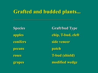 Grafted and budded plants...
Species Graft/bud Type
apples chip, T-bud, cleft
conifers side veneer
pecans patch
roses T-bud (shield)
grapes modified wedge
 
