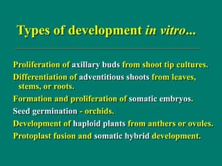 Types of development in vitro...
Proliferation of axillary buds from shoot tip cultures.
Differentiation of adventitious shoots from leaves,
stems, or roots.
Formation and proliferation of somatic embryos.
Seed germination - orchids.
Development of haploid plants from anthers or ovules.
Protoplast fusion and somatic hybrid development.
 