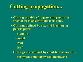 Cutting propagation...
• Cutting capable of regenerating roots (or
shoots) from adventitious meristem.
• Cuttings defined by size and location on
parent plant:
–stem tip
–nodal
–root
–leaf
• Cuttings also defined by condition of growth:
–softwood, semihardwood, hardwood
 