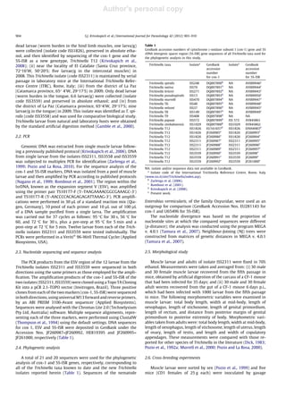 Author's personal copy
dead larvae (worm burden in the hind limb muscles, one larva/g)
were collected (isolate code ISS1826), preserved in absolute etha-
nol, and then identiﬁed by sequencing of the cox-1 gene and the
5S-ISR as a new genotype, Trichinella T12 (Krivokapich et al.,
2008); (ii) near the locality of El Calafate (Santa Cruz province,
72°160
W, 50°200
S; ﬁve larvae/g in the intercostal muscles) in
2008. This Trichinella isolate (code ISS2311) is maintained by serial
passage in laboratory mice at the International Trichinella Refer-
ence Centre (ITRC), Rome, Italy; (iii) from the district of La Paz
(Catamarca province, 65° 40
W, 29°170
S) in 2009. Only dead larvae
(worm burden in the tongue, 6.6 larvae/g) were collected (isolate
code ISS3559) and preserved in absolute ethanol; and (iv) from
the district of La Paz (Catamarca province, 65°40
W, 29°170
S; nine
larvae/g in the tongue) in 2009. This isolate was identiﬁed as T. spi-
ralis (code ISS3558) and was used for comparative biological study.
Trichinella larvae from natural and laboratory hosts were obtained
by the standard artiﬁcial digestion method (Gamble et al., 2000).
2.2. PCR
Genomic DNA was extracted from single muscle larvae follow-
ing a previously published protocol (Krivokapich et al., 2006). DNA
from single larvae from the isolates ISS2311, ISS3558 and ISS3559
was subjected to multiplex PCR for identiﬁcation (Zarlenga et al.,
1999; Pozio and La Rosa, 2010). For the sequence analysis of the
cox-1 and 5S-ISR markers, DNA was isolated from a pool of muscle
larvae and then ampliﬁed by PCR according to published protocols
(Nagano et al., 1999; Rombout et al., 2001). The region within the
lsrDNA, known as the expansion segment V (ESV), was ampliﬁed
using the primer pair TS10177-F (50
-TAAGAAAACGGCGAAAGC-30
)
and TS10177-R (50
-AACCCCACAGAGAGATTAAAG-30
). PCR ampliﬁ-
cations were performed in 30 lL of a standard reaction mix (Qia-
gen, Germany), 10 pmol of each primer and 10 lL out of 100 lL
of a DNA sample puriﬁed from a single larva. The ampliﬁcation
was carried out for 37 cycles as follows: 95 °C for 30 s, 56 °C for
60, and 72 °C for 30 s, plus a pre-step at 95 °C for 5 min and a
post-step at 72 °C for 5 min. Twelve larvae from each of the Trich-
inella isolates ISS2311 and ISS3559 were tested individually. The
PCRs were performed in a VeritiÒ
96-Well Thermal Cycler (Applied
Biosystems, USA).
2.3. Nucleotide sequencing and sequence analysis
The PCR products from the ESV region of the 12 larvae from the
Trichinella isolates ISS2311 and ISS3559 were sequenced in both
directions using the same primers as those employed for the ampli-
ﬁcation. The ampliﬁcation products of the cox-1 and 5S-ISR of the
two isolates (ISS2311, ISS3559) were cloned using a Topo TA Cloning
Kit into a pCR 2.1-TOPO vector (Invitrogen, Brazil). Three positive
clones from each of the two markers (cox-1, 5S-ISR) were sequenced
in both directions, using universal M13 forward and reverse primers,
by an ABI PRISM 3100-Avant sequencer (Applied Biosystems).
Sequences were analysed with the Chromas Lite 2.0 (Technelysium
Pty Ltd, Australia) software. Multiple sequence alignments, repre-
senting each of the three markers, were performed using ClustalW
(Thompson et al., 1994) using the default settings. DNA sequences
for cox 1, ESV and 5S-ISR were deposited in GenBank under the
Accession Nos. JF260987–JF260992, HE819395 and JF260995–
JF261000, respectively (Table 1).
2.4. Phylogenetic analysis
A total of 21 and 20 sequences were used for the phylogenetic
analysis of cox-1 and 5S-ISR genes, respectively, corresponding to
all of the Trichinella taxa known to date and the new Trichinella
isolates reported herein (Table 1). Sequences of the nematode
Enterobius vermicularis, of the family Oxyuridae, were used as an
outgroup for comparison (GenBank Accession Nos. EU281143 for
cox-1 and U65496 for 5S-ISR).
The nucleotide divergence was based on the proportion of
nucleotide sites at which the compared sequences were different
(p-distance); the analysis was conducted using the program MEGA
v. 4.0.1 (Tamura et al., 2007). Neighbour-Joining (NJ) trees were
constructed from matrices of genetic distances in MEGA v. 4.0.1
(Tamura et al., 2007).
2.5. Morphological study
Muscle larvae and adults of isolate ISS2311 were ﬁxed in 70%
ethanol. Measurements were taken and averaged from: (i) 30 male
and 30 female muscle larvae recovered from the ﬁfth passage in
mice, obtained by artiﬁcial digestion of the carcass of a CF-1 mouse
that had been infected for 35 days; and (ii) 30 male and 30 female
adult worms recovered from the gut of a CF-1 mouse 6 days p.i.,
which had been infected with 1000 larvae from the ﬁfth passage
in mice. The following morphometric variables were examined in
muscle larvae: total body length, width at mid-body, length of
oesophagus, length of stichosome, length of genital primordium,
length of rectum, and distance from posterior margin of genital
primordium to posterior extremity of body. Morphometric vari-
ables taken from adults were: total body length, width at mid-body,
length of oesophagus, length of stichosome, length of uterus, length
of ovary, length of testis, and length and width of copulatory
appendages. These measurements were compared with those re-
ported for other species of Trichinella in the literature (Dick, 1983;
Pozio et al., 1992a; Murrell et al., 2000; Pozio and La Rosa, 2000).
2.6. Cross-breeding experiments
Muscle larvae were sorted by sex (Pozio et al., 1999) and ﬁve
mice (CD1 females of 25 g each) were inoculated by gavage
Table 1
GenBank accession numbers of cytochrome c-oxidase subunit I (cox-1) gene and 5S
rDNA intergenic spacer region (5S-ISR) gene sequences of all Trichinella taxa used for
the phylogenetic analysis in this study.
Trichinella taxa Isolatea
GenBank
accession
number
for cox-1
Isolatea
GenBank
accession
number
for 5S-ISR
Trichinella spiralis ISS248 DQ007890b
NA AY009946c
Trichinella nativa ISS70 DQ007891b
NA AY009944c
Trichinella britovi ISS271 DQ007892b
NA AY009943c
Trichinella pseudospiralis ISS13 DQ007893b
NA AY009950c
Trichinella murrelli ISS470 DQ007894b
NA AY009947c
Trichinella T6 ISS40 DQ007895b
NA AY009948c
Trichinella nelsoni ISS37 DQ007896b
NA AY009945c
Trichinella T8 ISS149 DQ007897b
NA AY009949c
Trichinella T9 ISS408 DQ007898b
NA NA
Trichinella papuae ISS572 DQ007899b
ISS 572 AY845861
Trichinella zimbabwensis ISS1029 DQ007900b
ISS1029 AY845862
Trichinella T12 ISS1826 EU161657d
ISS1826 EF694983d
Trichinella T12 ISS1826 JF260985e
ISS1826 JF260993e
Trichinella T12 ISS1826 JF260986e
ISS1826 JF260994e
Trichinella T12 ISS2311 JF260987e
ISS2311 JF260995e
Trichinella T12 ISS2311 JF260988e
ISS2311 JF260996e
Trichinella T12 ISS2311 JF260989e
ISS2311 JF260997e
Trichinella T12 ISS3559 JF260990e
ISS3559 JF26098e
Trichinella T12 ISS3559 JF260991e
ISS3559 JF26099e
Trichinella T12 ISS3559 JF260992e
ISS3559 JF261000e
NA: isolate and/or sequence data not available in GenBank.
a
Isolate code of the International Trichinella Reference Centre, Rome, Italy
(www.iss.it/site/Trichinella/index.asp).
b
Zarlenga et al. (2006).
c
Rombout et al. (2001).
d
Krivokapich et al. (2008).
e
Present work.
904 S.J. Krivokapich et al. / International Journal for Parasitology 42 (2012) 903–910
 