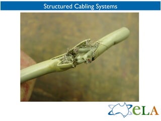 Structured Cabling Systems 