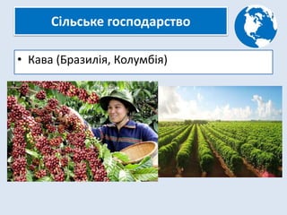 Сільське господарство
• Кава (Бразилія, Колумбія)
 