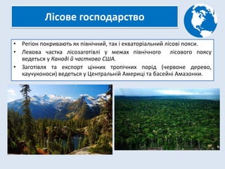 Лісове господарство
• Регіон покривають як північний, так і екваторіальний лісові пояси.
• Левова частка лісозаготівлі у межах північного лісового поясу
ведеться у Канаді й частково США.
• Заготівля та експорт цінних тропічних порід (червоне дерево,
каучуконоси) ведеться у Центральній Америці та басейні Амазонки.
 