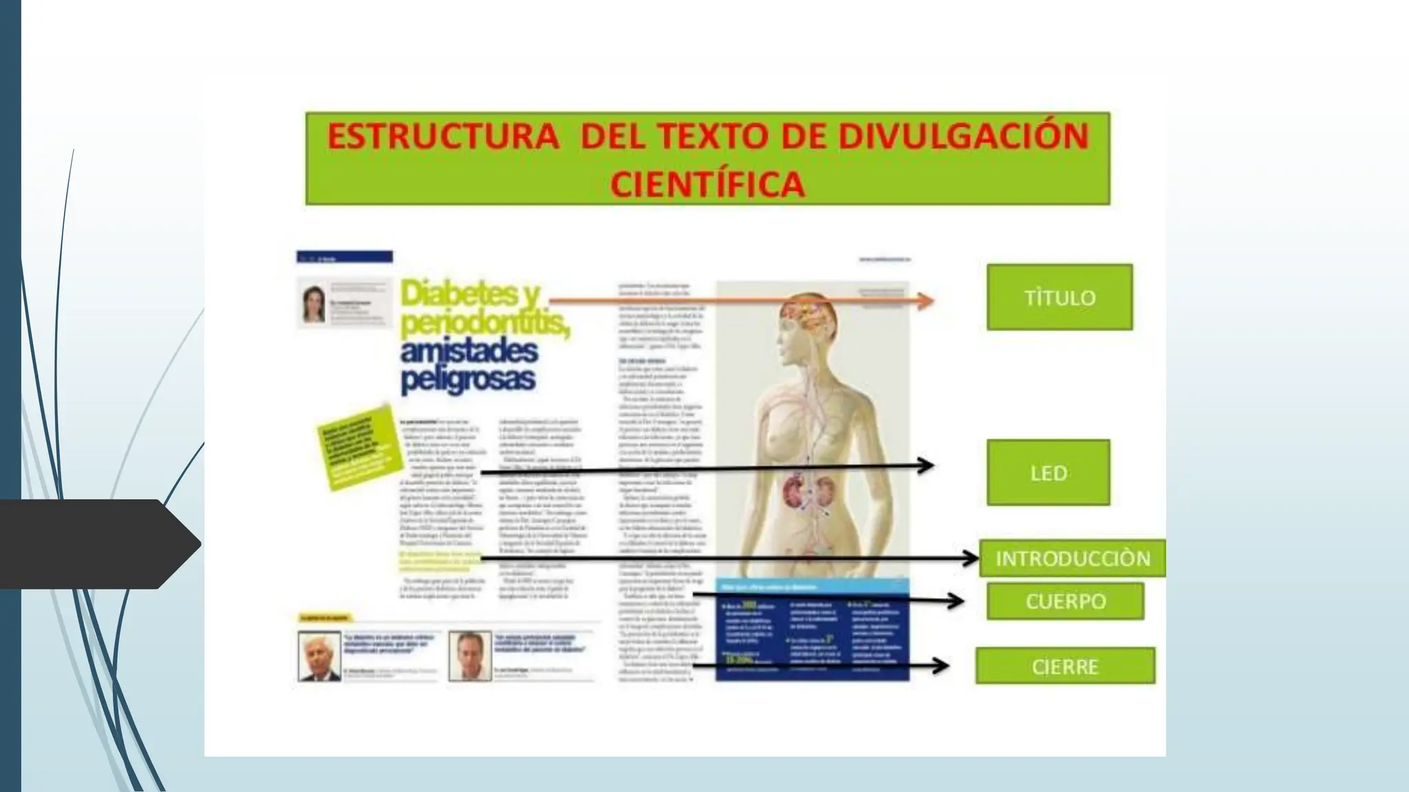 515174607-Estructura-de-los-textos-de-divulgacion-cientifica-2.pptx