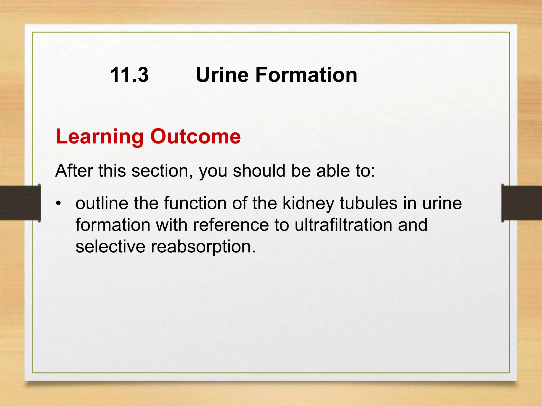11.3
Learning Outcome
After this section, you should be able to:
• outline the function of the kidney tubules in urine
formation with reference to ultrafiltration and
selective reabsorption.
Urine Formation
 