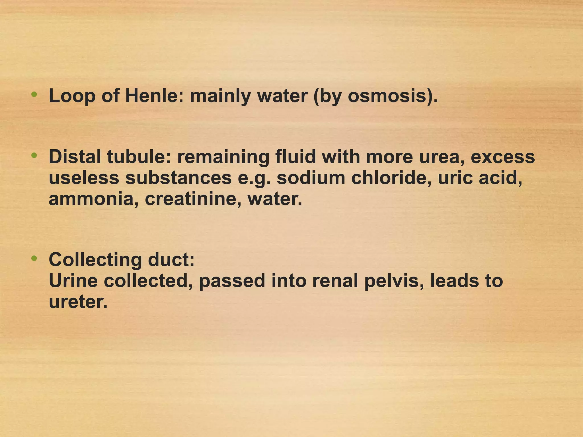 • Loop of Henle: mainly water (by osmosis).
• Distal tubule: remaining fluid with more urea, excess
useless substances e.g. sodium chloride, uric acid,
ammonia, creatinine, water.
• Collecting duct:
Urine collected, passed into renal pelvis, leads to
ureter.
 