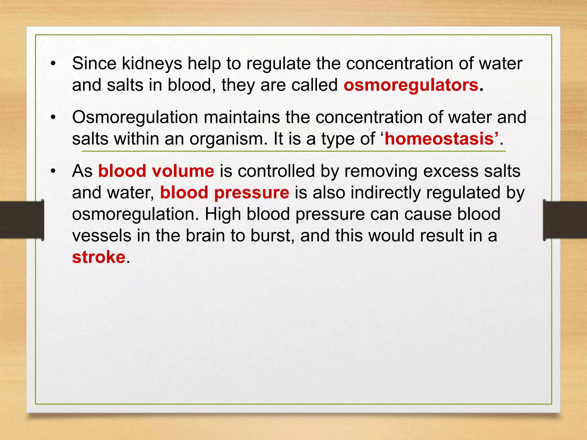 • Since kidneys help to regulate the concentration of water
and salts in blood, they are called osmoregulators.
• Osmoregulation maintains the concentration of water and
salts within an organism. It is a type of ‘homeostasis’.
• As blood volume is controlled by removing excess salts
and water, blood pressure is also indirectly regulated by
osmoregulation. High blood pressure can cause blood
vessels in the brain to burst, and this would result in a
stroke.
 