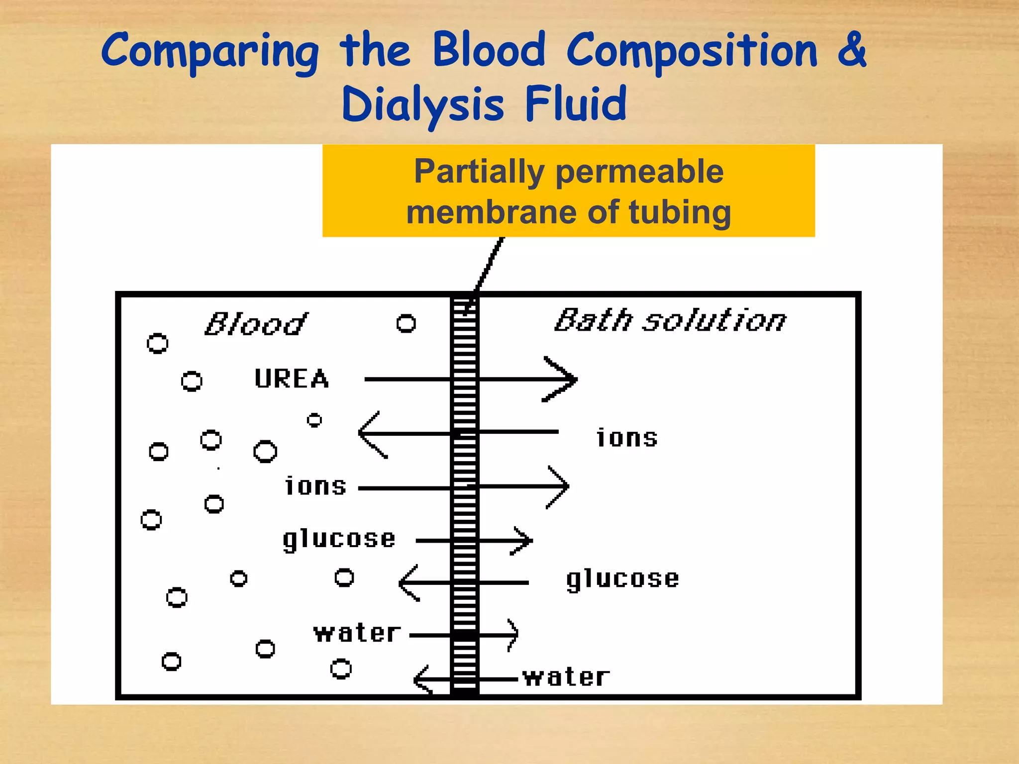 Comparing the Blood Composition &
Dialysis Fluid
Partially permeable
membrane of tubing
 