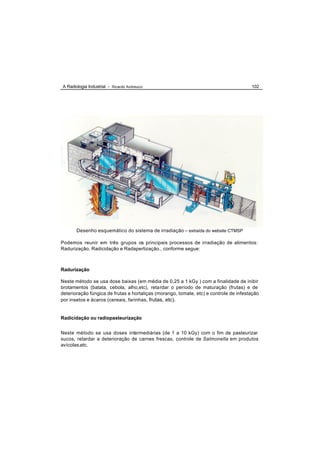 A Radiologia Industrial - Ricardo Andreucci                                            102




       Desenho esquemático do sistema de irradiação – extraída do website CTMSP

Podemos reunir em três grupos os principais processos de irradiação de alimentos:
Radurização, Radicidação e Radapertização., conforme segue:



Radurização

Neste método se usa dose baixas (em média de 0,25 a 1 kGy ) com a finalidade de inibir
brotamentos (batata, cebola, alho,etc), retardar o período de maturação (frutas) e de
deterioração fúngica de frutas e hortaliças (morango, tomate, etc) e controle de infestação
por insetos e ácaros (cereais, farinhas, frutas, etc).


Radicidação ou radiopasteurização


Neste método se usa doses intermediárias (de 1 a 10 kGy) com o fim de pasteurizar
sucos, retardar a deterioração de carnes frescas, controle de Salmonella em produtos
avícolas,etc.
 