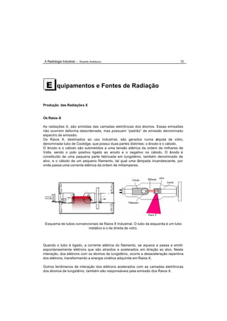 A Radiologia Industrial - Ricardo Andreucci                                        12




 E       quipamentos e Fontes de Radiação


Produção das Radiações X


Os Raios-X

As radiações X, são emitidas das camadas eletrônicas dos átomos. Essas emissões
não ocorrem deforma desordenada, mas possuem “padrão” de emissão denominado
espectro de emissão.
Os Raios X, destinados ao uso industrial, são gerados numa a         mpola de vidro,
denominada tubo de Coolidge, que possui duas partes distintas: o ânodo e o cátodo.
O ânodo e o cátodo são submetidos a uma tensão elétrica da ordem de milhares de
Volts, sendo o polo positivo ligado ao anodo e o negativo no cátodo. O ânodo é
constituído de uma pequena parte fabricada em tungstênio, também denominado de
alvo, e o cátodo de um pequeno filamento, tal qual uma lâmpada incandescente, por
onde passa uma corrente elétrica da ordem de miliamperes.




 Esquema de tubos convencionais de Raios X Industrial. O tubo da esquerda é um tubo
                         metálico e o da direita de vidro.




Quando o tubo é ligado, a corrente elétrica do filamento, se aquece e passa a emitir
espontaneamente elétrons que são atraídos e acelerados em direção ao alvo. Nesta
interação, dos elétrons com os átomos de tungstênio, ocorre a desaceleração repentina
dos elétrons, transformando a energia cinética adquirida em Raios X.

Outros fenômenos de interação dos elétrons acelerados com as camadas eletrônicas
dos átomos de tungstênio, também são responsáveis pela emissão dos Raios X.
 