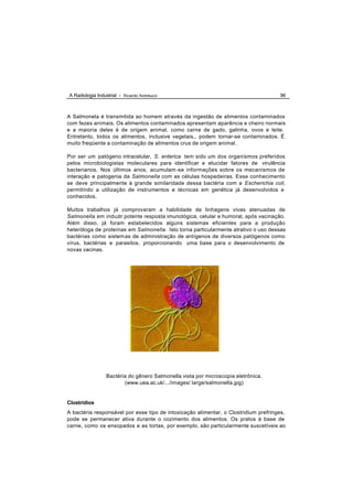 A Radiologia Industrial - Ricardo Andreucci                                          96



A Salmonela é transmitida ao homem através da ingestão de alimentos contaminados
com fezes animais. Os alimentos contaminados apresentam aparência e cheiro normais
e a maioria deles é de origem animal, como carne de gado, galinha, ovos e leite.
Entretanto, todos os alimentos, inclusive vegetais,, podem tornar-se contaminados. É
muito freqüente a contaminação de alimentos crus de origem animal.

Por ser um patógeno intracelular, S. enterica tem sido um dos organismos preferidos
pelos microbiologistas moleculares para identificar e elucidar fatores de virulência
bacterianos. Nos últimos anos, acumulam -se informações sobre os mecanismos de
interação e patogenia da Salmonella com as células hospedeiras. Esse conhecimento
se deve principalmente à grande similaridade dessa bactéria com a Escherichia coli,
permitindo a utilização de instrumentos e técnicas em genética já desenvolvidos e
conhecidos.

Muitos trabalhos já comprovaram a habilidade de linhagens vivas atenuadas de
Salmonella em induzir potente resposta imunológica, celular e humoral, após vacinação.
Além disso, já foram estabelecidos alguns sistemas eficientes para a produção
heteróloga de proteínas em Salmonella. Isto torna particularmente atrativo o uso dessas
bactérias como sistem as de administração de antígenos de diversos patógenos como
vírus, bactérias e parasitos, proporcionando uma base para o desenvolvimento de
novas vacinas.




                  Bactéria do gênero Salmonella vista por microscopia eletrônica.
                         (www.uea.ac.uk/.../images/ large/salmonella.jpg)


Clostrídios
A bactéria responsável por esse tipo de intoxicação alimentar, o Clostridium prefringes,
pode se permanecer ativa durante o cozimento dos alimentos. Os pratos à base de
carne, como os ensopados e as tortas, por exemplo, são particularmente suscetíveis ao
 