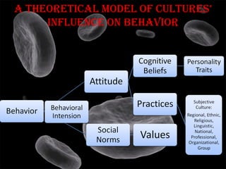 Culture & Sub Cultures Slide 3