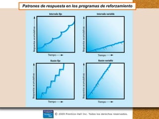 Patrones de respuesta en los programas de reforzamiento
 